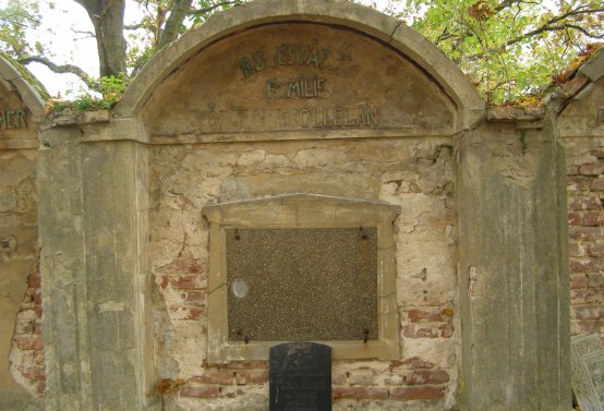 Kmínek Michal, 2019