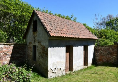 Omnium, 2020