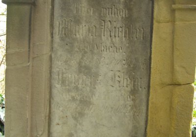 Kmínek Michal, 2019