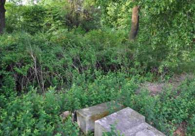 Zaniklá část hřbitova, Větrovská Barbora, 2016