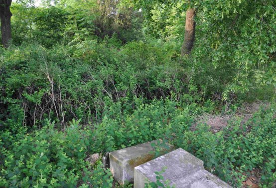 Zaniklá část hřbitova, Větrovská Barbora, 2016