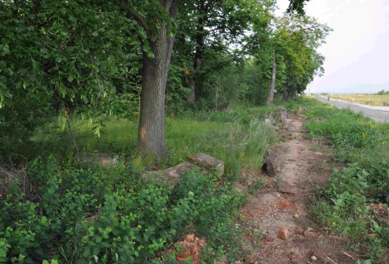 Zaniklá část hřbitova, Větrovská Barbora, 2016