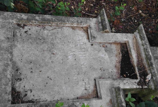 Zaniklá část hřbitova, Větrovská Barbora, 2016