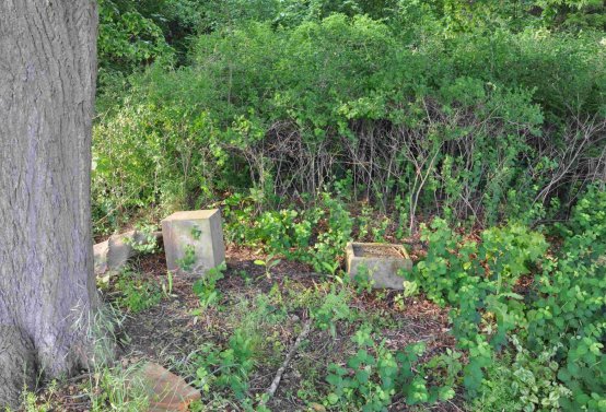 Zaniklá část hřbitova, Větrovská Barbora, 2016