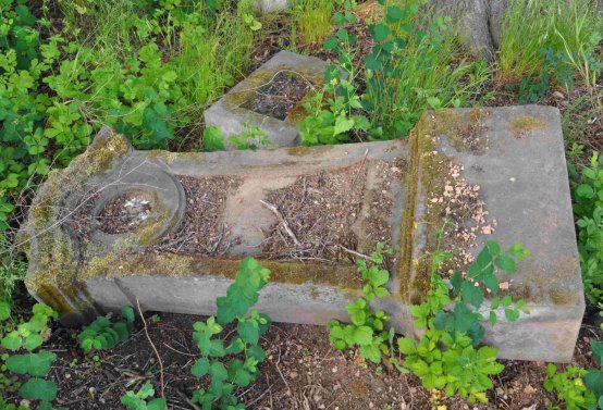 Zaniklá část hřbitova, Větrovská Barbora, 2016