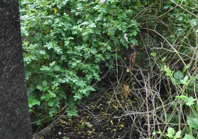 Zaniklá část hřbitova, Větrovská Barbora, 2016