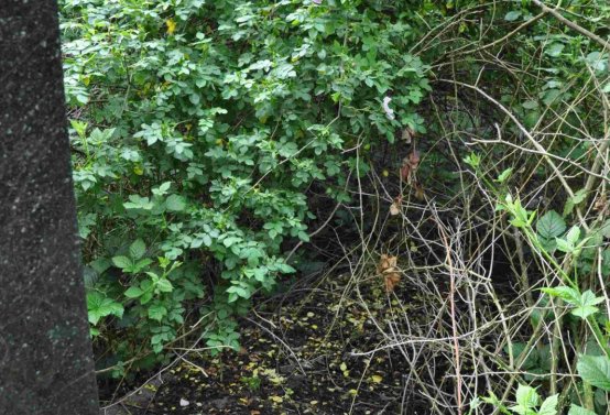 Zaniklá část hřbitova, Větrovská Barbora, 2016