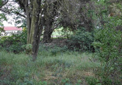 Zaniklá část hřbitova, Větrovská Barbora, 2016