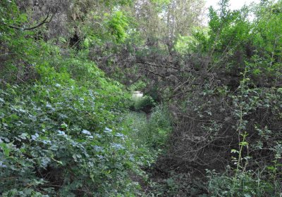 Zaniklá část hřbitova, Větrovská Barbora, 2016