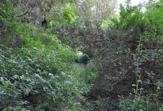 Zaniklá část hřbitova, Větrovská Barbora, 2016