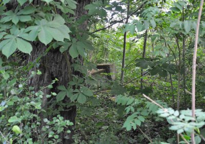 Zaniklá část hřbitova, Větrovská Barbora, 2016