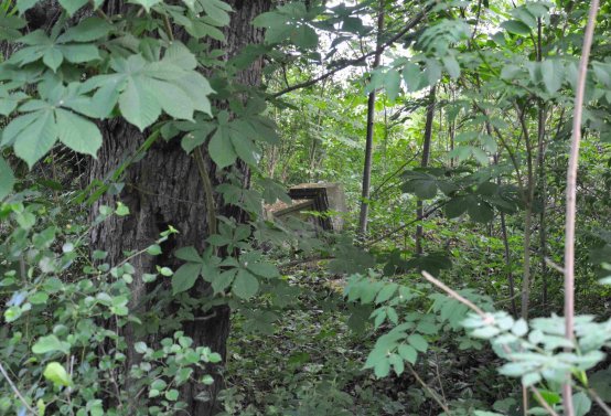 Zaniklá část hřbitova, Větrovská Barbora, 2016