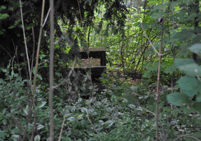 Zaniklá část hřbitova, Větrovská Barbora, 2016