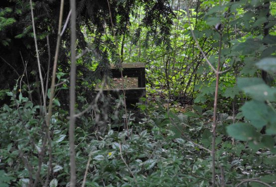 Zaniklá část hřbitova, Větrovská Barbora, 2016