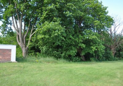 Horní Beřkovice, Omnium, 2020