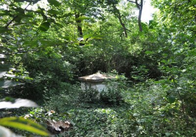 Horní Beřkovice, Omnium, 2020