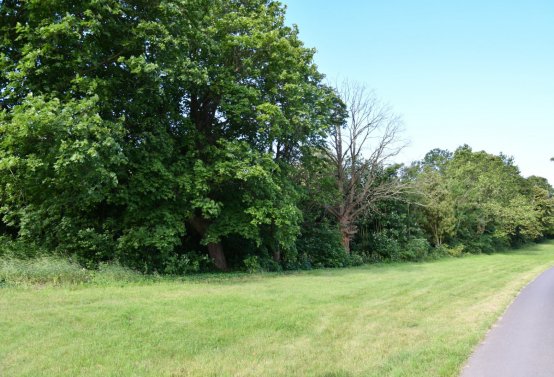 Horní Beřkovice, Omnium, 2020