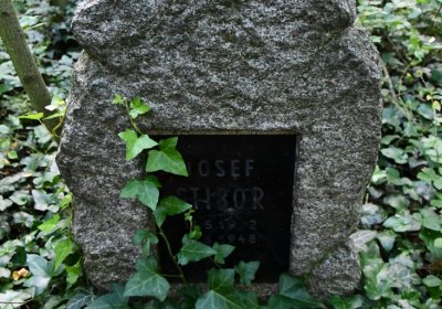 Horní Beřkovice, Omnium, 2020