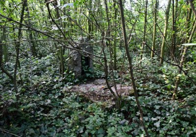 Horní Beřkovice, Omnium, 2020