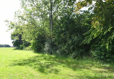 Horní Beřkovice, Omnium, 2020