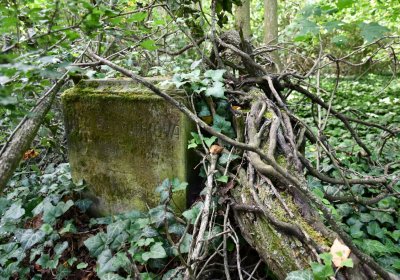 Horní Beřkovice, Omnium, 2020