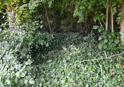 Horní Beřkovice, Omnium, 2020