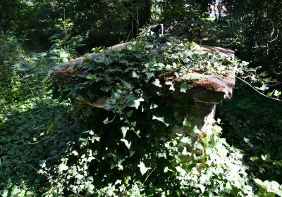 Horní Beřkovice, Omnium, 2020