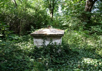 Horní Beřkovice, Omnium, 2020