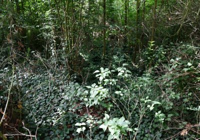 Horní Beřkovice, Omnium, 2020