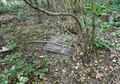 Horní Beřkovice, Omnium, 2020