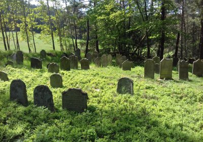 Kmínek Michal, 2018