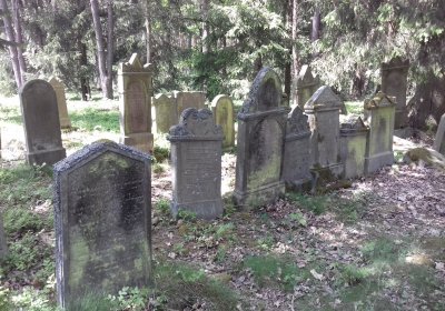 Kmínek Michal, 2018