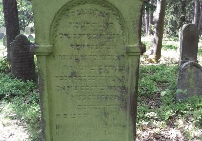 Kmínek Michal, 2018