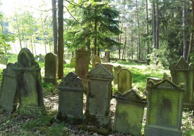 Kmínek Michal, 2018