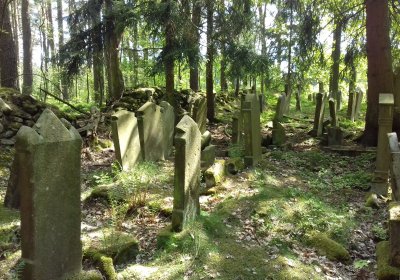 Kmínek Michal, 2018