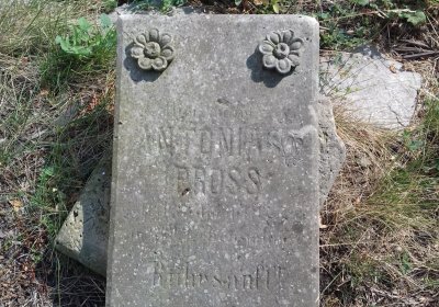 Kmínek Michal, 2018