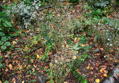 Bílý Kostelec, Omnium, 2020