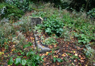 Bílý Kostelec, Omnium, 2020