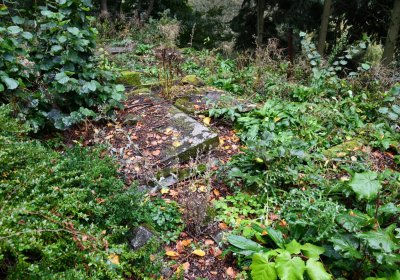 Bílý Kostelec, Omnium, 2020