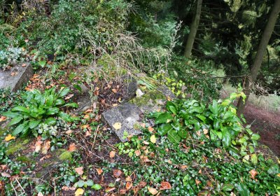 Bílý Kostelec, Omnium, 2020