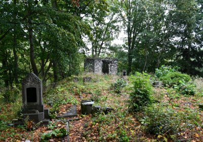 Bílý Kostelec, Omnium, 2020