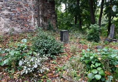 Bílý Kostelec, Omnium, 2020