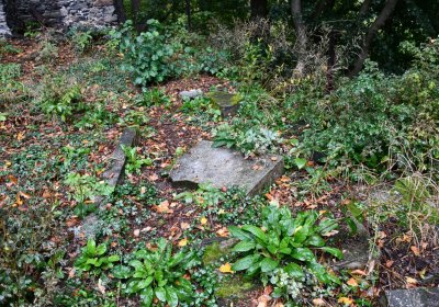 Bílý Kostelec, Omnium, 2020