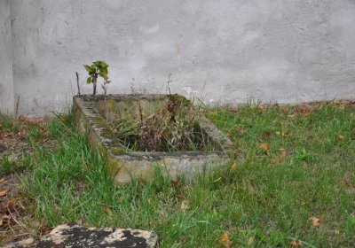 Habřina, Omnium, 2020