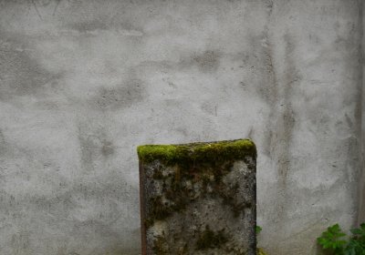 Habřina, Omnium, 2020