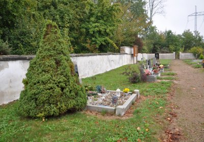 Habřina, Omnium, 2020