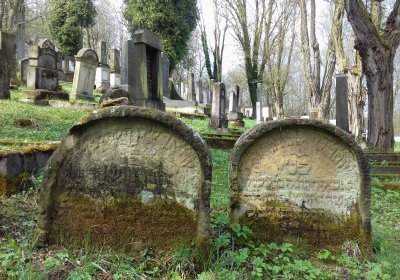 Kmínek Michal, 2018