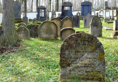 Kmínek Michal, 2018