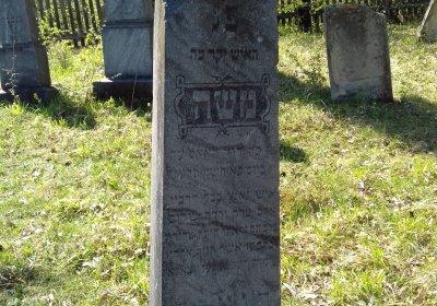 Kmínek Michal, 2019