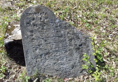 Kmínek Michal, 2019